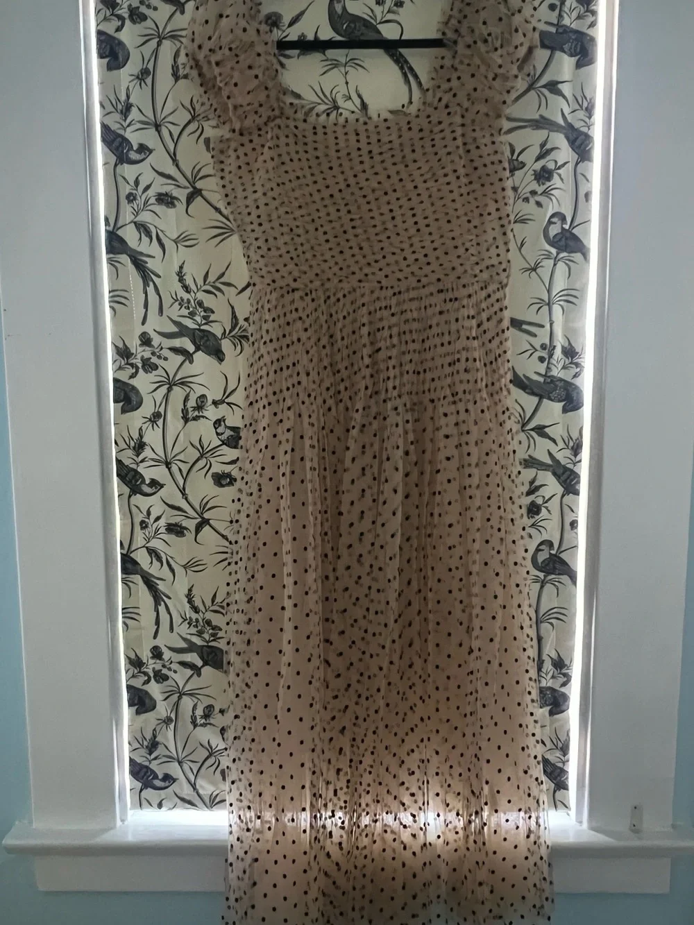 Doen Pamelina Nude Tulle Dress with flocked Black Polka Dots - Picture 3 of 4